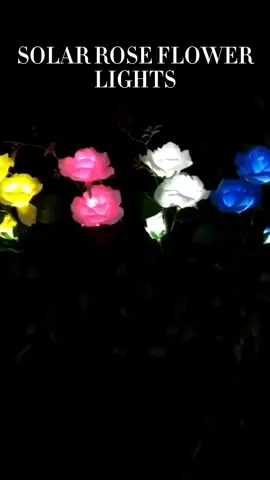 #solarflower #flowerlight #roselight #solarlight #fyp #trending #tiktokfinds 