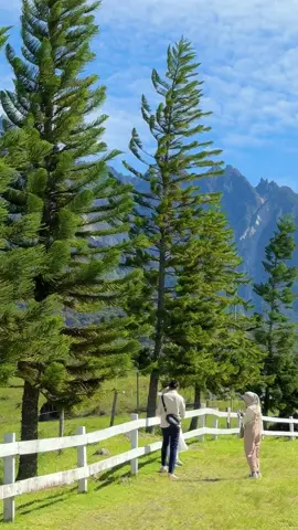 one of best place untuk healing dikundasang dgn angin sepoi2 ditambah dengan kehijauan yg menenangkan😇 sebarang pertanyaan boleh klik no dekat Bio✌️ #pakejgroundsabah #daytripkundasang #tripkundasang #healing #sabahtraveller 