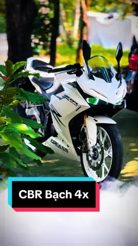 Trắng Bạch Luôn Đúng ý chị em #cbr150r #suhuong #xedovietnam #trending #suhuongtiktok2024❤️❤️ 