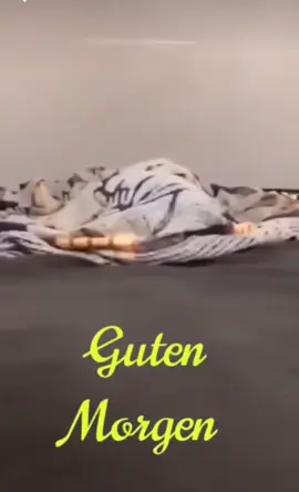 Guten Morgen #keepsmiling😀 #gutenmorgenwelt #aufstehen💞 #gutenmorgenwelt #goodvibes 
