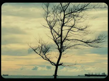 Nhạc này bình yên quá... #vu #binhyen #sea #viral #xuhuongtiktok 