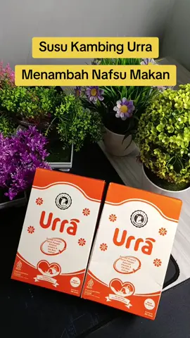 Susu Kambing Urra Membantu menambah nafsu makan anak dan menjaga sistem imun tubuh #susukambing #urra #susukambingurra #urrasusukambing #susuetawa #etawa #susukambingetawa #kidstiktok #gizidatmadu #september #promoguncang99 #wibgajian #galeriherbal 