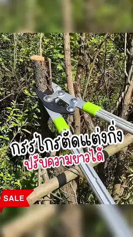 กรรไกรตัดแต่งกิ่งรุ่นขายดี ปรับความยาวได้ แต่งต้นไม้ในสวนได้สะดวกรวดเร็ว  #กรรไกรตัดกิ่ง  #กรรไกรตัดกิ่งไม้  #กรรไกรตัดแต่งกิ่งไม้  #กรรไกรตัดกิ่งไม้สูงด้ามยาว  #กรรไกรตัดกิ่งด้ามยาว  