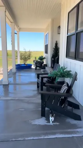 #onthisday #ModernFarmhouse #farmhouse #colorado 