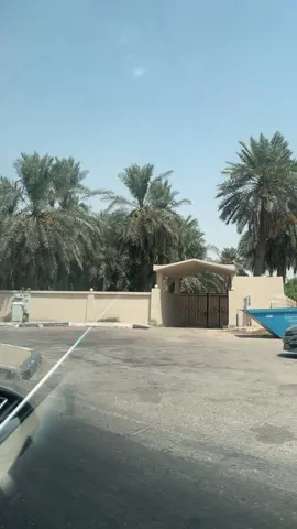 #اكسبلورexplore #الاحساء#ريحةالنخيل 🌴🌴