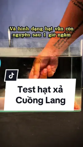 Hạt xả Cuồng Lang xanh và đỏ. Tan chậm, định hình tốt, bền ổ và thơm hiệu quả.  #thamcau #dammecauca #hatxacuonglang #caucatramden 