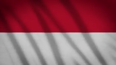 FREE INDONESIAN FLAG FOR YOU #indonesiaflag #benderaindonesia #free#indonesia #3d #cinematicphotography