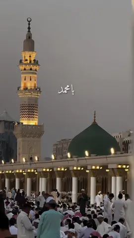 Ya Nabi Salam Alayka🌸  #frenzy_edits1 #islamic_video #naat #yanabisalam #maherzain #nasheed #lyricsvideo #islamicstatus #viewsproblem 