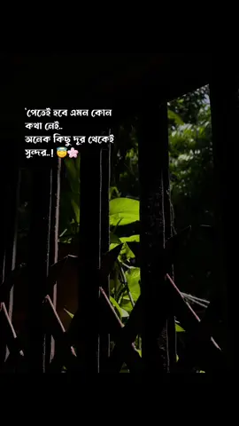 দূর থেকেই সুন্দর..❤️‍🩹#foryou #statusvideo #foryoupageofficiall @TikTok for Business 