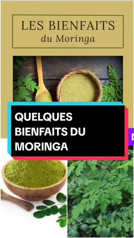 QUELQUES BIENFAITS DU MORINGA. #moringa #bienfaits #sante #rêve #grossesse2024 #kit_de_nettoyage #purification #deblocage #attirence #chance #protection #belgique #belgique_bruxelle🇧🇪 #allemangnetiktok🇩🇪 #portugal🇵🇹 #etatsunis #amerique🇺🇸 #canada🇨🇦 #france #lareunion974🇷🇪 #guadeloupe #mayotte976🇾🇹🌴🤣foryoupage #itali 
