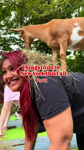 Checked off Goat Yoga from my bucket list🥹💛🐐 woodstockgoatyoga is located on Shady Farm in Woodstock, NY that’s just a 2 hour drive away from NYC! Goat yoga is a one of a kind experience that I’ll never forget! It’s truly one of the best experience I’ve had & I can’t believe I didn’t do it sooner 🥲 The baby goats are the sweetest & so darn cute! Connecting with them while doing yoga was the best! Victoria Balentine is the shepherdess & yoga teacher. She herds goats, makes cheese & runs the farmstead. Back in the day she had a yoga studio in Manhattan & now she is overjoyed to roll three of her passions: yoga, mindfulness & goats into one fabulous offering Goat Yoga.  Shady Farm is a totally organic homestead located just outside the town of Woodstock in the little hamlet of Shady. They make artisanal cheese from their happy healthy herd of goats & have laying hens. At Shady Farm they are practicing low impact regenerative agriculture & compassionate animal husbandry. They also have farm tours available that include a tour of the farm,  garden, artisanal goat cheese tasting with a glass of rosè😋 🎟️ $45 per class per person ⏳Goat yoga classes are one hour long 🧘🏽Take place outside  🫓Yoga mats are provided Save this for your next trip to the Catskills & follow @sambameatstheworld for more fun finds ✨ 📍Location: 3664 NY-212, Shady, NY 12409 #fyp #foryou #upstatenewyork #woodstock #catskills #goatyoga #wellness #outdooractivities #thingstodo #newyork #fall #funthingstodo 