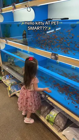 @PetSmart @hellokitty #baby #Relationship #fyp #foryou #momlifebelikethat #teenmom #fy #petsmart #hellokitty #fish 