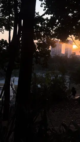 Pôr do sol #bosque #bosquemaia 