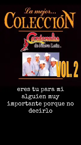 Los Cardenales de Nuevo León - Y Es Que Te Quiero De Tal Forma #cardenalesdenuevoleón #cardenalesdenuevoleon #yesquetequierodetalforma  #detalforma #Cumbia #musicanorteña #norteñas #norteños #monterrey #nuevoleon #donchayo #donchayoelcardenalmayor #cesareosanchez #oldies #delrecuerdo #letra 