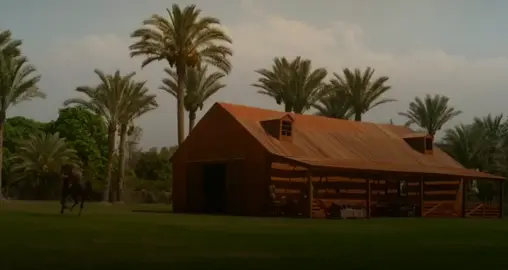 هو دا الـ مش بفلوس !! 🤍🌸 #حالات_واتس #استوريهات #🖤🥀 #اكسبلورexplore❥🕊 #🖤 