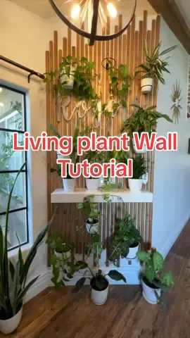 For those asking for a tutorial!  FYI- my ceiling in slanted so i had to measure and cut each slat separately before attaching them.  #plants #plantwall #livingwall #entryway #homedecor #transformation #DIY #fyp #plantsoftiktok 