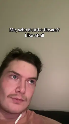 #funny #comedy #joke #nature #insects #bees #bugs #honey #flowers #garden #fly