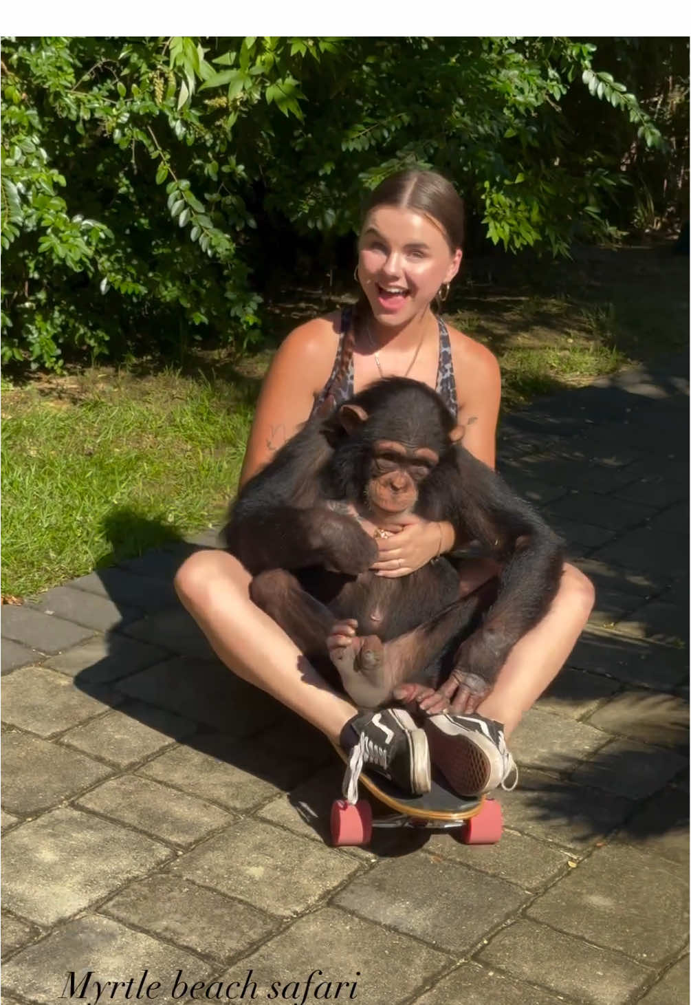 Tara just loved Skateboarding today!🛹🦍🖤 • • • #Chimps #chimpanzee #chimps #apes #cuteanimals #animalsaddict #animals #explorepage #animals #animallover #monkey #monkeys #monkeyseemonkeydo #monkeylove #onelove #family #myfamily #riolilly #tara #rioandtara #funny #funnymonkey #skateboard 