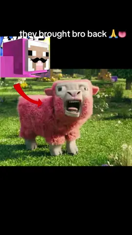 “What if” minecraft ahh video #minecraftmovie #fypシ 