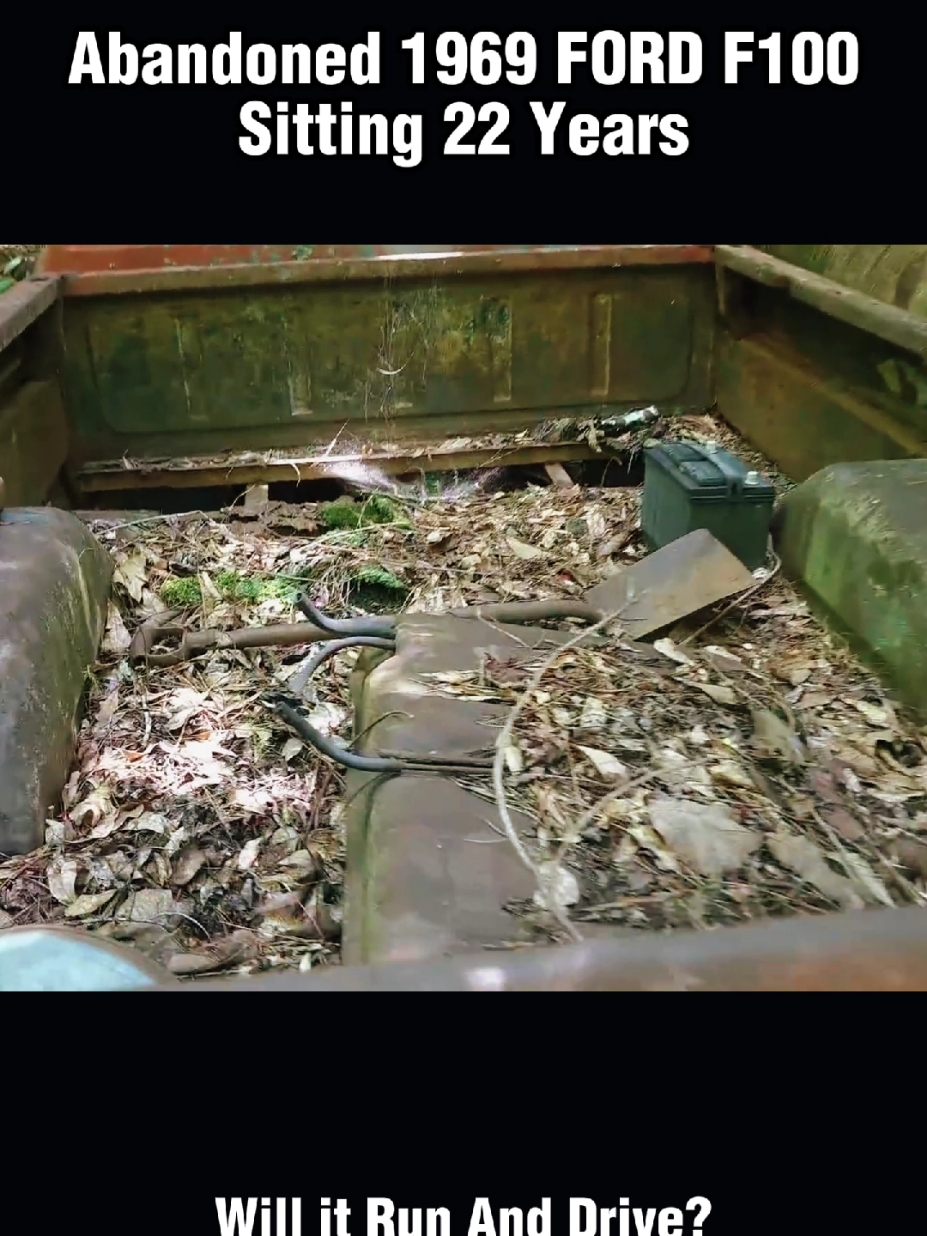 This Abandoned 1969 Ford f100 sitting 22 years!WILL IT RUN?#willitrun #rescue #motor #car #engine #restoration #recovery #old #tiktok #fyp #foryourpage 