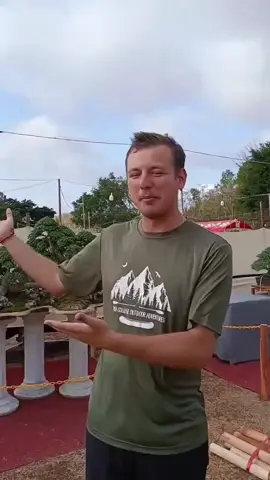 pameran bonsai gunungkidul