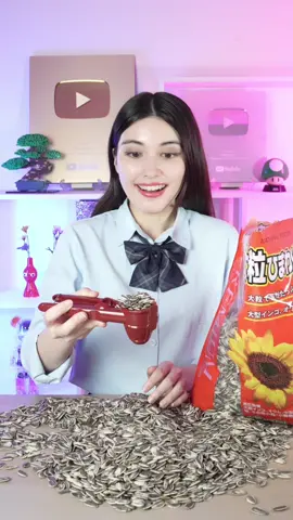 Sunflower seed splitter