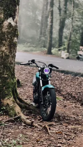 #kingvanessa #rxking #rxking135cc #135cc #cinematicsadvibes🥀 