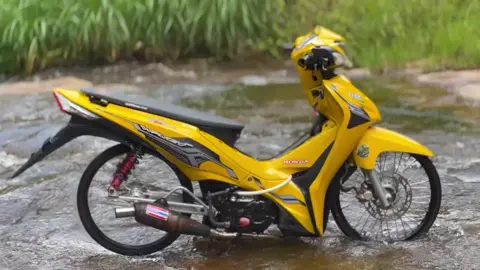 #ฝากติดตามด้วยนะครับ😘✌️ #บ้านร่องกล้า🌸🌺🌹🌸🌺 #เวฟ110iสีเหลือง💛 #โบ้สวนบอกไม้🌺 