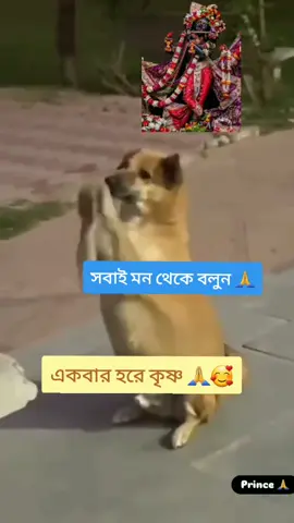 #সবাই_একটু_সাপোর্ট_করবেন_প্লিজ🙏🙏🙏🙏🙏🙏🙏 #হরে🕉️কৃষ্ণ🕉️হরে🕉️কৃষ্ণ # #videoviral❤️ #foryou #🙏🙏🙏🙏🙏🙏🙏🙏🙏 