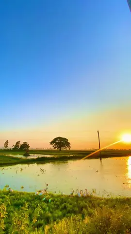 ĐỀ PHÒNG TÂM KIÊU MẠN #nhanqua #daolyhay