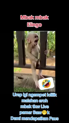 #fypシ #tiktoktaiwan🇹🇼 