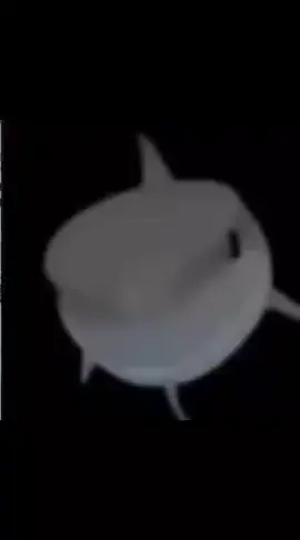 . #shark #fyp #filipino #cat #cute #meme #trend 