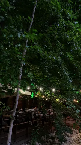 🌿 Vino la GoodVin – chiar dacă a venit toamna, terasa noastră e mai fermecată ca niciodată! Înconjurată de pădure, te așteaptă să te bucuri de o atmosferă unică, departe de agitația orașului. Ce poate fi mai plăcut decât o cină savuroasă, un vin excelent și aerul proaspăt de toamnă? 🌲🍷 Ești gata să te convingi? ‼️Nu rata ocazia – fă-ți o rezervare acum! 📍str. Studenților 11/1, mun. Chișinău | +37379900664 📸 Nu uita să ne etichetezi în pozele tale și să folosești hashtag-ul #GoodVin pentru a împărtăși experiențele tale! ❤️