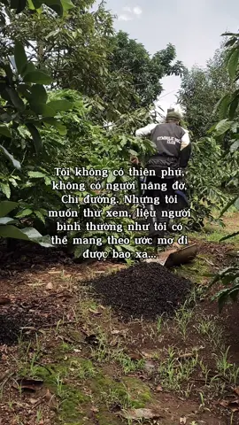 Tôi không có thiên phú, không có người nâng đỡ, Chỉ đường. Nhưng tôi muốn thử xem, liệu người bình thường như tôi có thể mang theo ước mơ đi được bao xa...