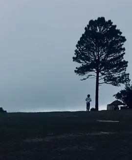 යනවනම් නුඹ ඈත දුරකට මටත් නොකියාම නොඑන්න  දුටුවොතින් සඳවතිය අහසේ යන තැනක තතු කියන්න... #foryourpage#fypシ゚viral🖤tiktok#srilanka#foryou#fypシ゚viral🖤 