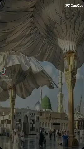 #❤️❤️❤️ #quran_alkarim #urdutranslation #❤️❤️❤️ 