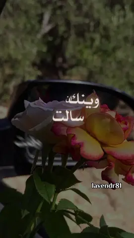 ان سالت وقلت وينك قلت قلت في الصدر الرحيب#غريب_ال_مخلص #كحيل_الطرف #شيلات_ترند #اكسبلور #trending #lavendr81 #شيلات #ترند #CapCut 