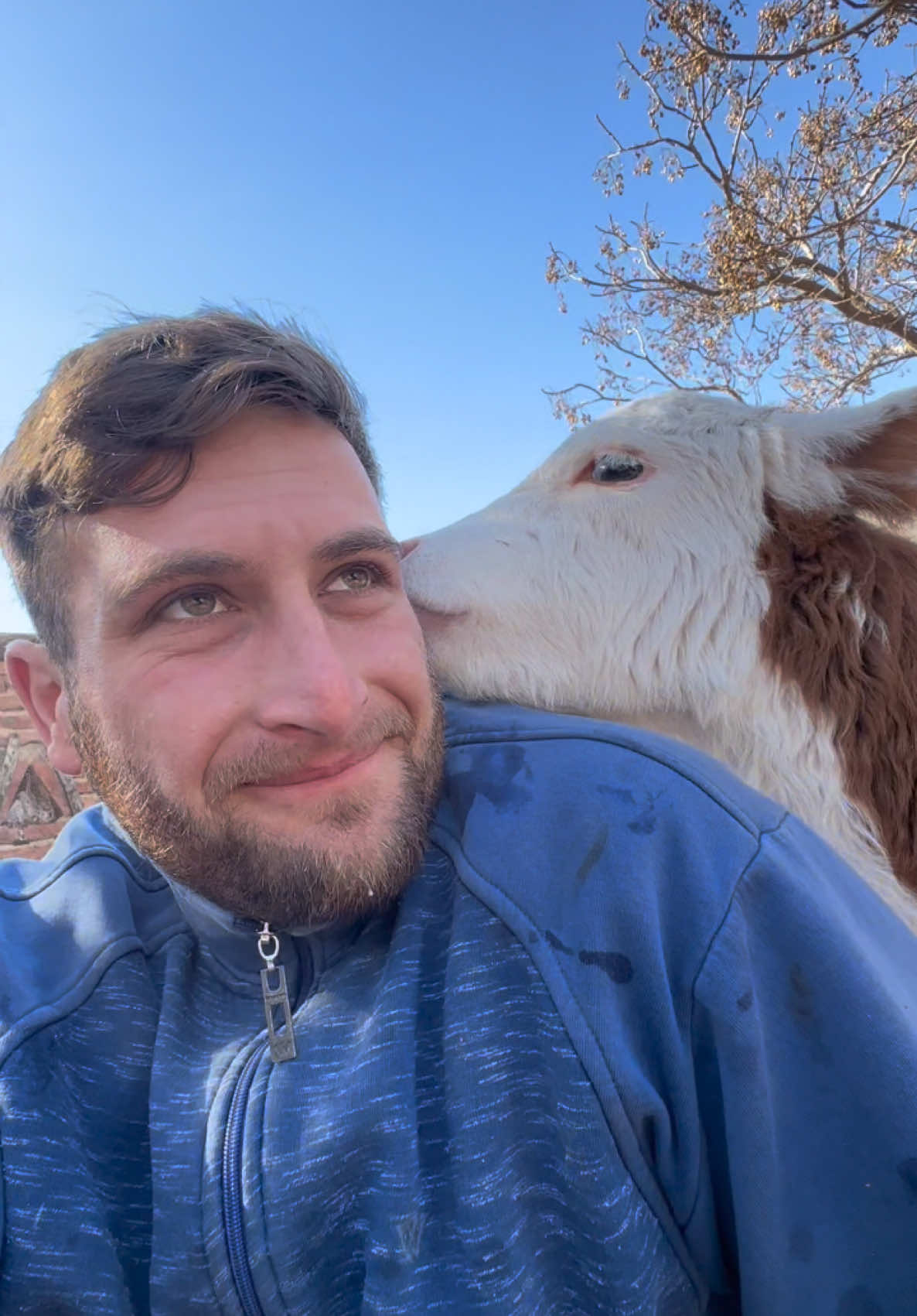 Hoy consultorio con OLGUITA 🩺🐂🚑  👉¿Ustedes qué dicen? ¿La ven mejor? El tema es que no respeta la relación médico/paciente 🐂😂 Ya llevamos $700.000 recaudados para nuestra VETENETA (Veterinaria movil 🚑🥹) estoy a full preguntando por vehiculos para lograr nuestro sueño 🩺🚙 🚨Para quienes quieren sumarse a la VETENETA el alias oficial es: gastonbritosvet  NO hay otro alias (evitemos estafas 🙏)