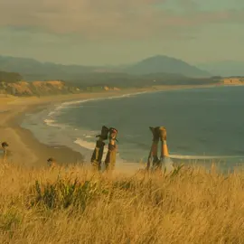 summer on the coast #travel #vanlife 