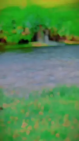 مینه اور ده ❤️🙂 #fyp #foryoupage #active #foryou #song #Love 