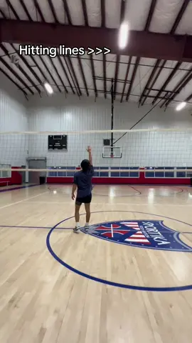 Practicing those line shots #fyp #foryou #hinata #haikyuu #volleyball 