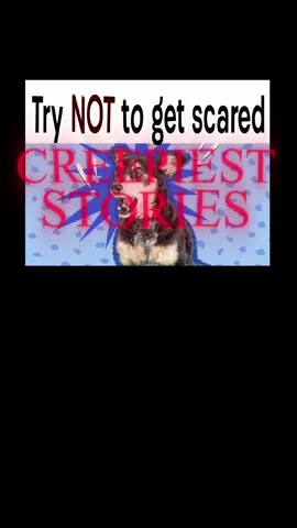 #fyp #scary 