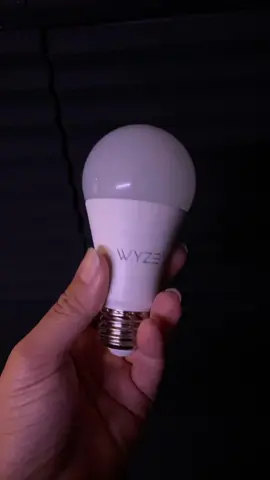 #greenscreen #wyze #appcontrolled #wyzebulb @Wyze 