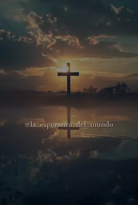 #SantJordi2024 #diostebendiga #diosteama #paratii #diosesamor #diosesamor #santo #paratiiiiiiiiiiiiiiiiiiiiiiiiiiiiiii #paraustedes #fyppppppppppppppppppppppp #foryou #@jose_Manuel_giles_ofiicial_ @Dani Carrasco ✅ #Mi #Tiempo #no #es #lento #es #perfecto #jesusdenazaret #diosteama #paratii #diosesamor #paraustedes #paratiii #paratiiiiiiiiiiiiiiiiiiiiiiiiiiiiiii #fyppppppppppppppppppppppp #foryou #fyp #diostebendiga 