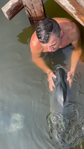 #valdemir  encantador de peixe gigante 