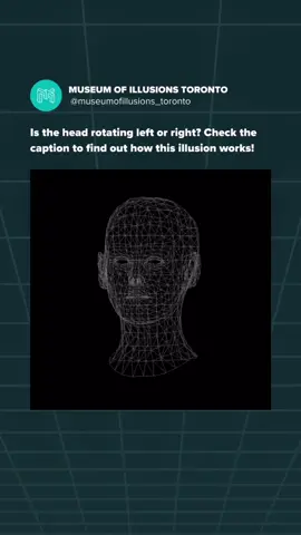 he Wireframe Head! 🔄Have you ever come across an image that seems to move in ways that defy logic? In this illusion, you’ll see a head represented in a simple wireframe design. At first glance, it may look like it’s oscillating back and forth, but here’s the twist: it never actually completes a full rotation!So, why does this happen? It all comes down to how our brains interpret visual information. When we look at the wireframe, our brain’s face-detection system kicks in. As the head appears to turn away, our brain interprets it as a hollow mask. This creates the illusion of movement as our perception flips the image, making it seem like it’s oscillating.This phenomenon is a great reminder of how our brains can sometimes misinterpret what we see based on limited visual cues. It’s like when you see a shadow and your mind fills in the gaps, leading you to think it’s something entirely different!Next time you encounter this wireframe illusion, remember: your brain is working hard to make sense of what it sees, even if it means creating a little magic! 🤯✨ Credit: Michael Bach, www.michaelbach.de