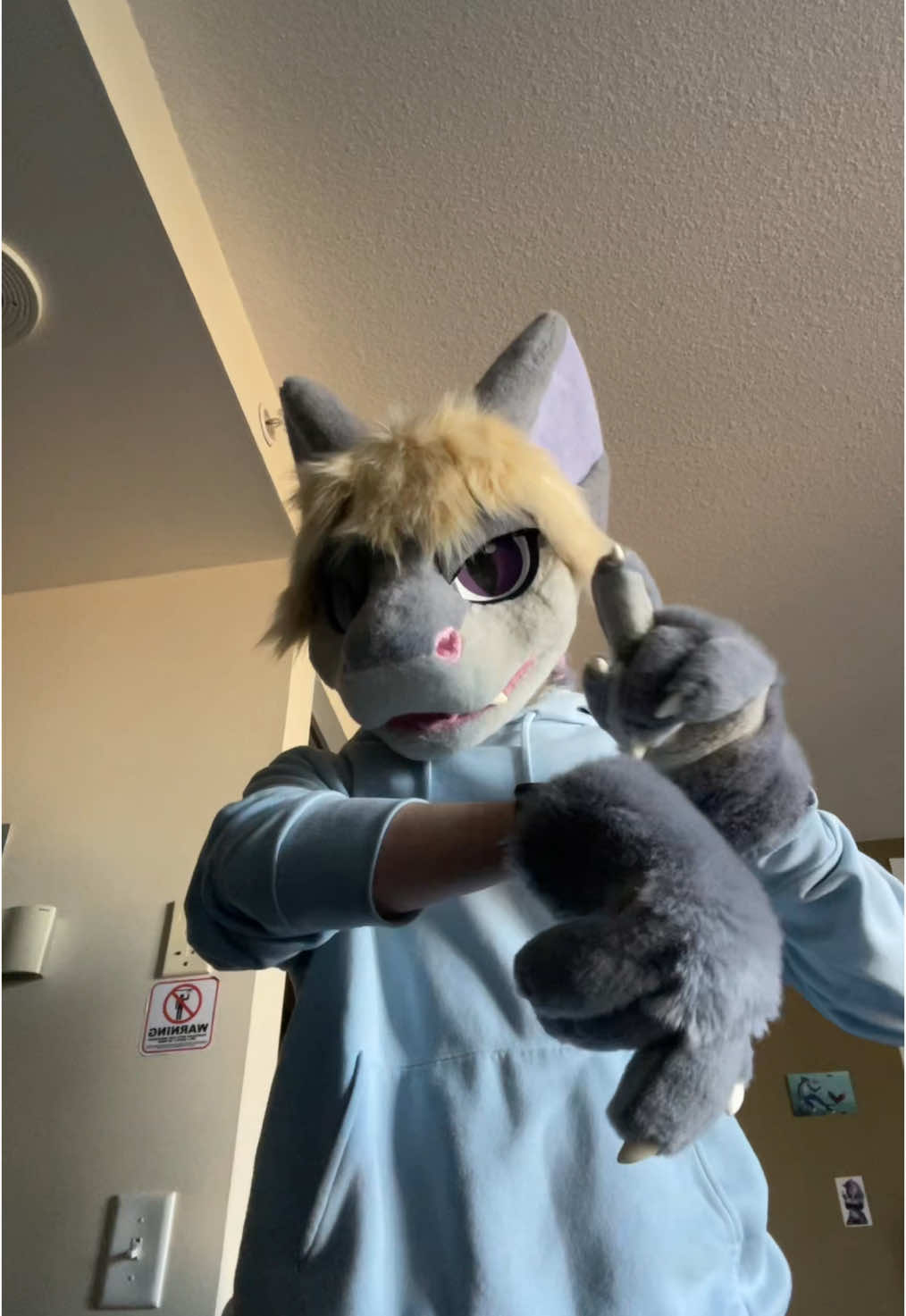 i should be organzing my new college dorm but i have better ideas  #furry #fursuit #sharkfurry #sharkfursuit #fyp #fypシ #furries #furriesoftiktok #furryfandom #furrytiktok #shark 