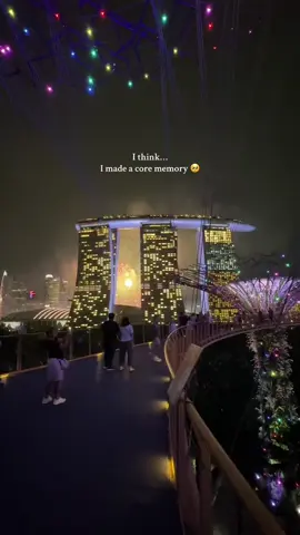 @jasminer.fong just took a walk among the clouds at the OCBC Skyway in Gardens by the Bay, and it was pure magic! 🌿✨ Suspended 22 meters above the ground, this stunning walkway offers breathtaking panoramic views of the Supertree Grove and Marina Bay. 😍 Singapore’s Garden Rhapsody show, 'The Medley of Emotions,' brings the Supertrees to life with dazzling lights and music—it’s a nightly spectacle that’s not to be missed! 🌙🌟 Get personalized travel plans today! Link in bio! 💡Did you know that The Supertrees aren’t just pretty—they’re also sustainable! They collect rainwater and generate solar power. 🌳 📍 Gardens by the Bay, Singapore 🎥: @jasminer.fong  Credits to respective owner. DM for removal  #travel #travelling #GardensByTheBay #OCBCSkyway #SingaporeViews #TravelGoals #CityInANature #SingaporeAdventures #ExploreSingapore #GardenRhapsody #SupertreeGrove #SingaporeItinerary #VisitSingapore #Wanderlust #MustSeeSingapore #singapore 