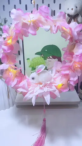 Một em đèn lồng dễ thương cho mùa trung thu tới nè mấy ní ơi🐰#dentrungthu #trungthu #ruocdentrungthu #dentrungthuchobe #dentrungthu2024 #xuhuong 