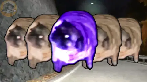 Spacelove | Initial D Arcade Stage 4 #puglover #pugberto #pug #dance #multiverse #pc #ps5 #xbox #nintendo #android #ios #arcade #videogames #ost